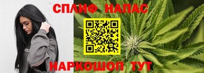 прущие грибы Бузулук