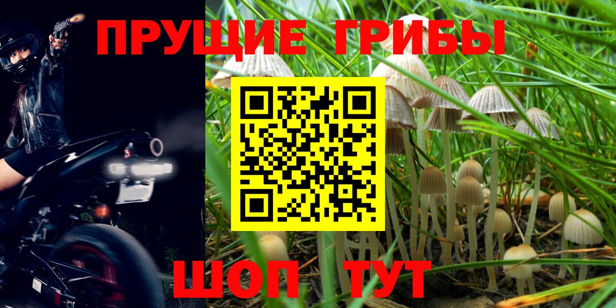 Галлюциногенные грибы Cubensis  Вход с VPN  Махачкала  Галлюциногенные грибы ЛСД 