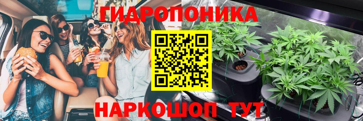 Шишки марихуана семена Махачкала